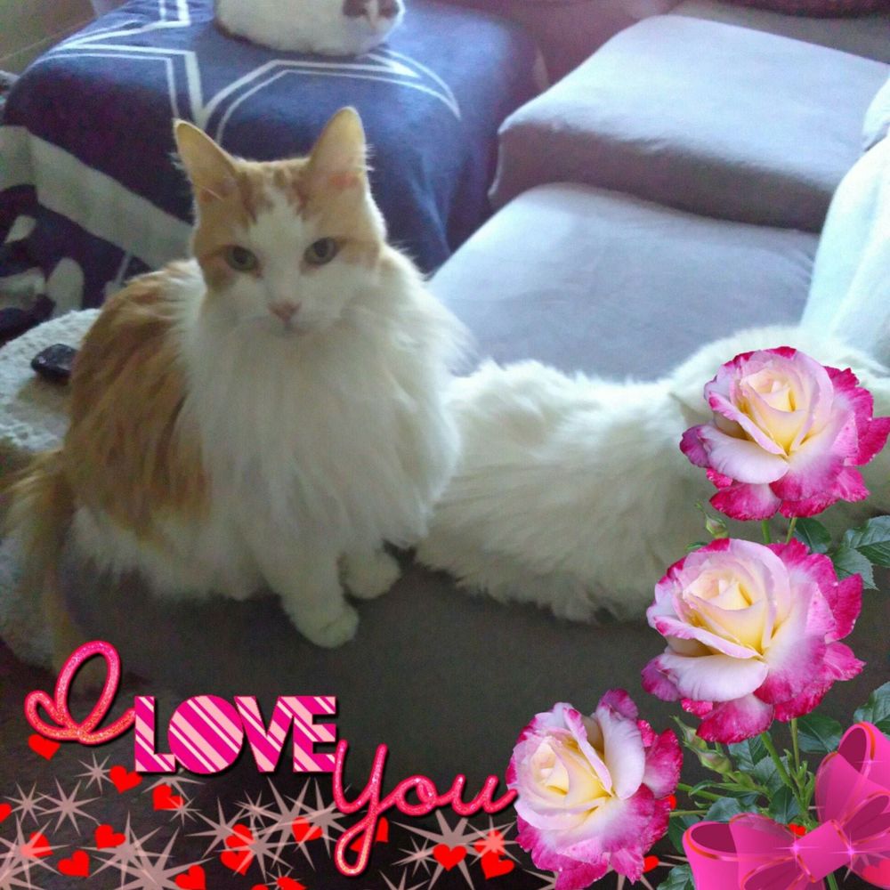 Meet your Posher, Deb